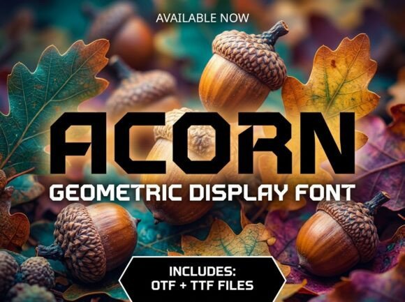 Acorn: Root Your Designs in Strength and Stability