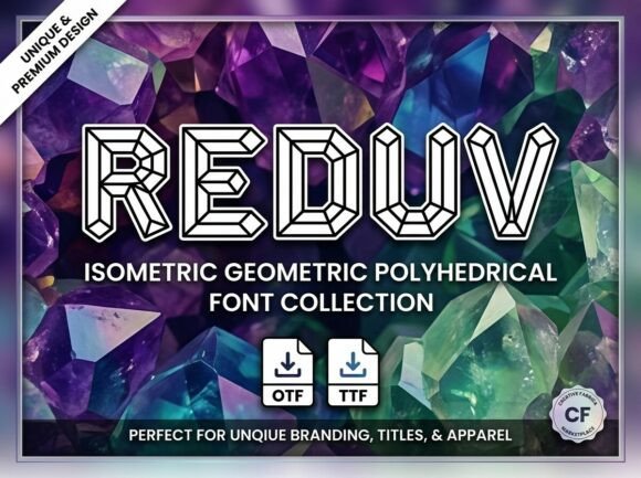 Construct Your Creative Vision with Reduv